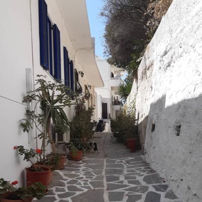 Εικόνα 04